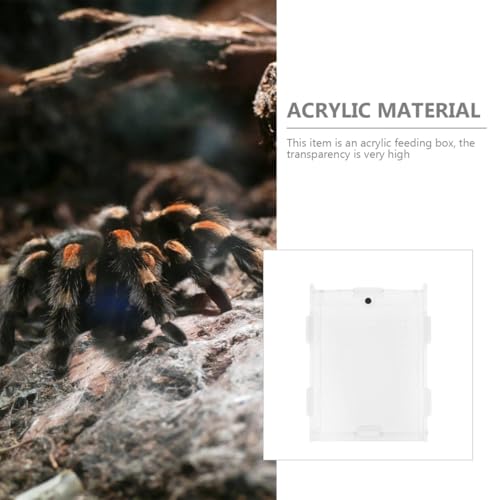 balacoo 1pc Acrylic Reptile Box Transparent Feeding Habitat for Spiders Snakes and Pets Lightweight Breeding Case Light Transmission for Transporting and Observing Pets