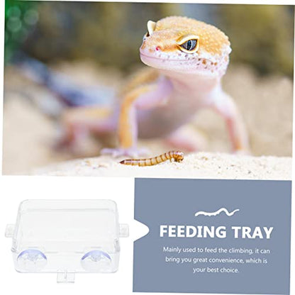 BESPORTBLE 2PCS Reptile Feeding Bowls Suction Cups Washable Lizard Food and Water Dishes Escape-Proof Reptile Feeders for Bearded Dragons Geckos Tortoises