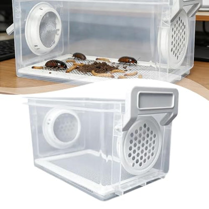 Breeding Box, Reptile Feeding Box, Transparent Terrarium, Habitat, Animal Holder for Raising Mealworms, Style B - color: style B