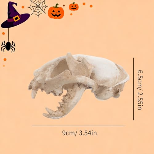 Hemobllo Aquarium Skull: Skull Aquarium Decor Resin Cat Skeleton for Fish Tank Reptile Tank Decoration Unique Handmade Craft for Home Terrarium Ornament