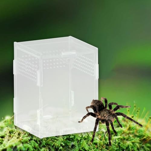 Reptile Breeding Box Acrylic Terrarium Container with Ventilation Holes for Snakes Turtles Chameleons Frogs Geckos Small Animal Habitat- 8x7x10cm