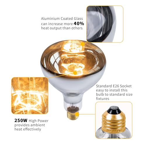 250 Watt Heat Lamp Bulbs, Clear Incandescent Heating Outdoor Light Bulb for Bathroom, Shower, Chickens, Chicks, Ceiling, Reptile, Food, Plants, Medium E26 Base - 6 Pack - size: 6 Pack