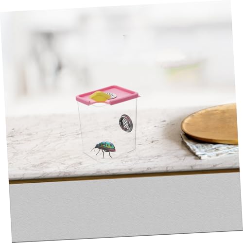 BESPORTBLE 1pc Acrylic Reptile Feeding Box Ventilation Pet Breeding Habitat Safe and Comfortable Terrarium for Spiders and Other Pets Approx Color Varies