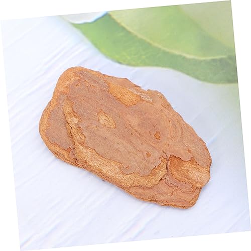 ORFOFE 1pack Natural Pine Bark Pad for Reptile Box Cushioning for Lizards Snails and Chameleons to Rest Climb Terrarium Decor