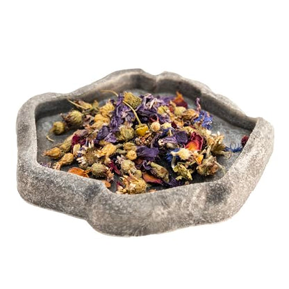 Zoo Med Tortoise & Box Turtle Flower Food Topper 1.4 oz - Pack of 22 - size: 1.4 Ounce (Pack of 2)