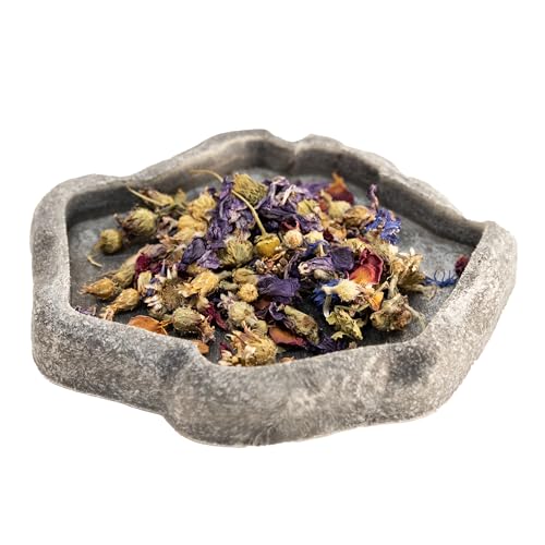 Zoo Med Tortoise & Box Turtle Flower Food Topper 0.21 oz - Pack of 6