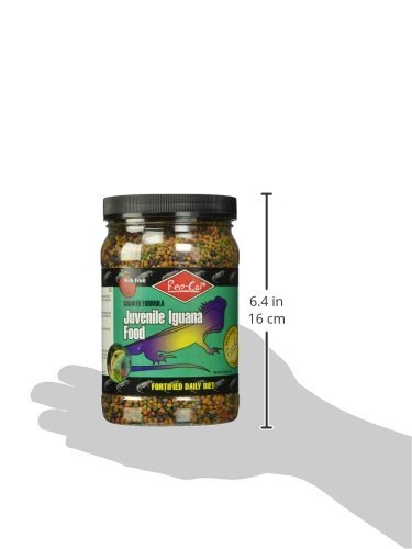 Rep-Cal Srp00802 Juvenile Iguana Food, 14.5-Ounce