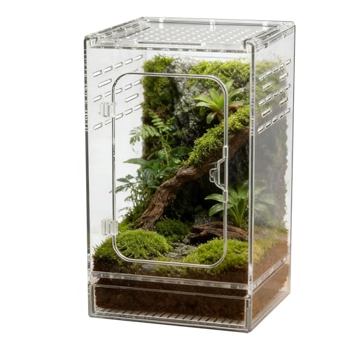 Jumping Spider Enclosure – Acrylic 15x15x25cm | Small Reptile Habitat with Dual-Sided Ventilation | Front-Opening Arboreal Tarantula Tank | Transparent Terrarium for Mantis and Invertebrate Use - color: Arboreal breeding box small