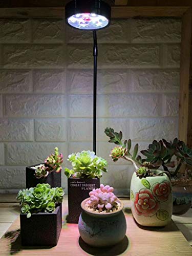 Full Spectrum LED Light with Bamboo Board, Fits Aquarium Nano Tank, Betta Fish Tank, Potted Plants, Succulents, Miniature Landscape – 7W - size: 7W