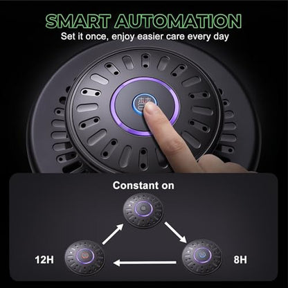 Glass Plant Terrarium with LED Grow Light, 7.8" Borosilicate Terrarium with Adjustable Ventilation & Timer, for Venus Fly Trap, Moss, Succulents, Mini Landscape, Desk Decor for Home Office
