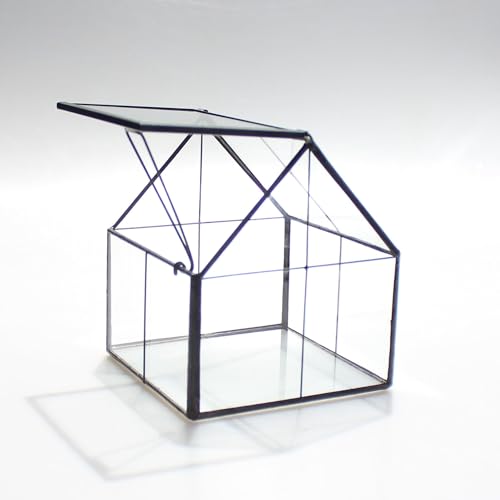 NCYP Mini Glass Terrarium with Lid - 4.25" x 4.25" x 4.92" House Shape Close Geometric Planter Pot for Mini Succulents Plant, Moss - Handmade, Home Garden Office Decor, Black (Terrarium Only) - size: 4.25x4.25x4.92 inches
