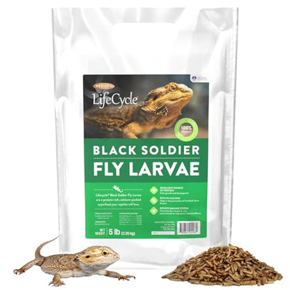 Black Soldier Fly Larvae, Bearded Dragon Food, Bugs for Reptiles, Worms for Geckos, Insect Protein, Baby Bearded Dragon Food, Made in USA, 5 lbs - size: 5 Pound (Pack of 1)