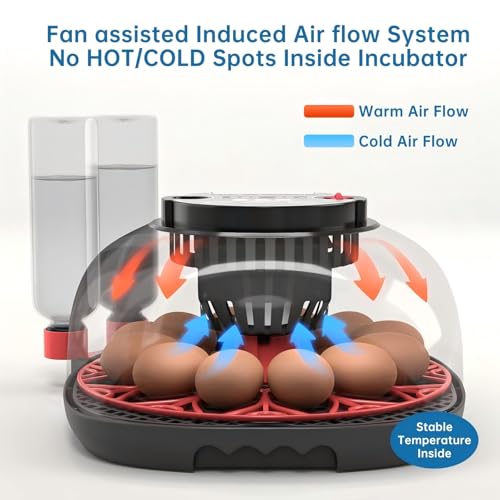 12-24 Egg Incubator with Humidity Display, Egg Candler, Automatic Egg Turner, for Hatching Chickens Duck Quail Parrot - color: Red