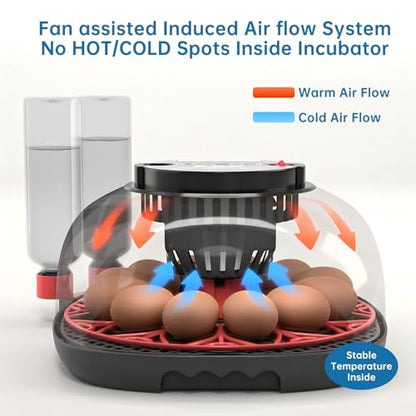 12-24 Egg Incubator with Humidity Display, Egg Candler, Automatic Egg Turner, for Hatching Chickens Duck Quail Parrot - color: Red