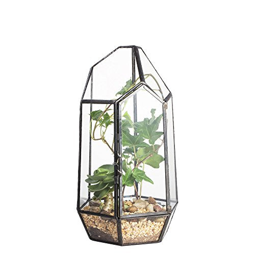 NCYP Small 5.1" x 5.1" x 8.66" Irregular Geometric Glass Terrarium Planter with Door - Home Tabletop Display Container Pot for Succulents, Cacti - Indoor Clear Decor, Black (No Plants)