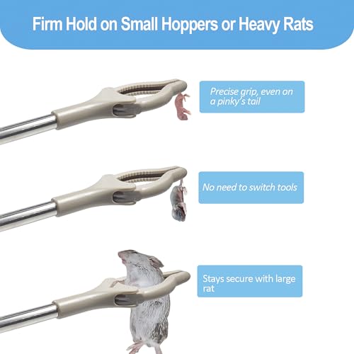 Snake Feeding Tongs, 16 Inch Reptile Feeding Tongs, Ball Python Accessories, Extra Long Large Tweezers for Boa, Kingsnake, Hognose Snake, Corn Snake, Terrarium Supplies for Snake
