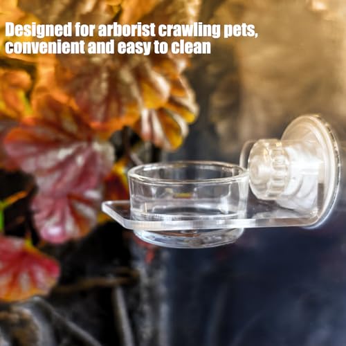 Gecko Feeder - Gecko Feeding Ledge Suction Cup, Reptile Food Feeder Bowl, Suction Cup Food Tray Lizard | Acrylic, Magnet, Bowls, Reptile Feeding Ledge for Lizards, Chameleons, Tree Frogs, - color: B