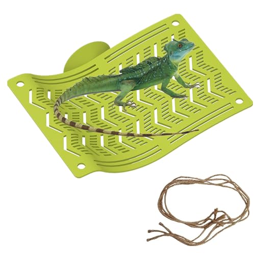2 in1 Bearded Dragon Hammock with Suction Cups, Plastic Frog Lizard Hammocks, Hanging Swing Cradle for Chameleon, Lizards, Geckos, Snakes, Lguana, Reptile & Amphibian Habitat Décor (Green, Large) - size: Large