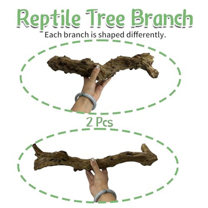 Reptile Climbing Branch with Cork Branch for Reptiles Climbing Branches 2 Pack Natural Tree Frog Cork Wood Stick Crested Geckos Habitat Decor