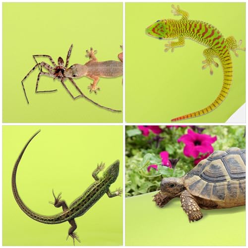 Large Reptile Carpet Mat for Leopard Gecko Lizard Snake Tortoise Sturdy Reptile Substrate for Terrarium Bedding and Climbing Accessories