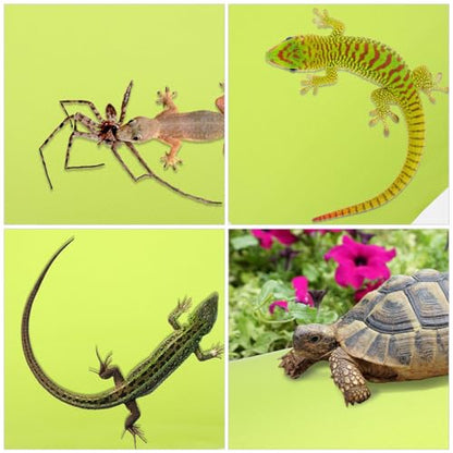 Large Reptile Carpet Mat for Leopard Gecko Lizard Snake Tortoise Sturdy Reptile Substrate for Terrarium Bedding and Climbing Accessories
