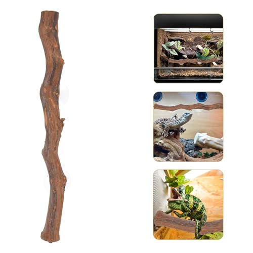 2pcs,Reptile Branch Decor, Natural Forest Branch Terrarium Climb Corner Tree Branch Background Decoration Plant Decoration with Suction Cup for Snake Lizard and Leopard Gecko
