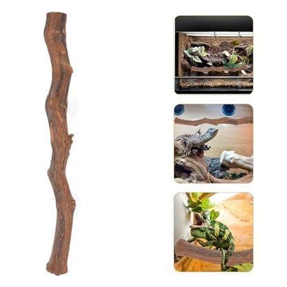 2pcs,Reptile Branch Decor, Natural Forest Branch Terrarium Climb Corner Tree Branch Background Decoration Plant Decoration with Suction Cup for Snake Lizard and Leopard Gecko