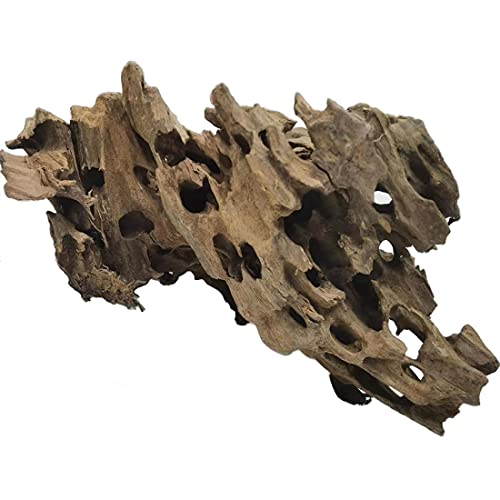 PINVNBY Natural Large Driftwood for Aquarium Reptile Terrarium Decor Decorations Assorted Branches Bearded Dragon Tank Accessories (11.5-16 inches/1 Pack) - size: XL:Honeycomb wood (11.5 - 16 inches/1 Pack)