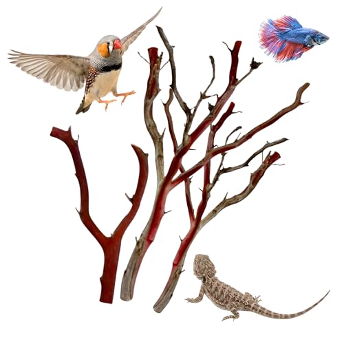 Manzanita Driftwood (Bundle) for Large Aquariums & Reptile Tanks (20-24””) 30–75 Gallon Tank | for Aquascaping & Terrarium Decor | Hardwood Branches | Large Fish, Monitor Lizards, Chameleons - size: Bundle LG