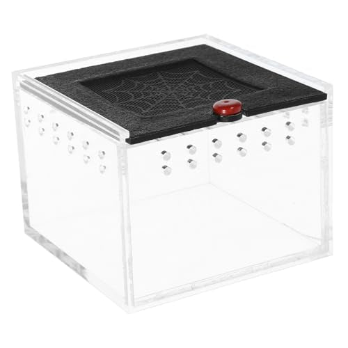 Small Animal Breeding Box Acrylic Reptile Case Waterfall for Lizards Spiders Easy Viewing Design