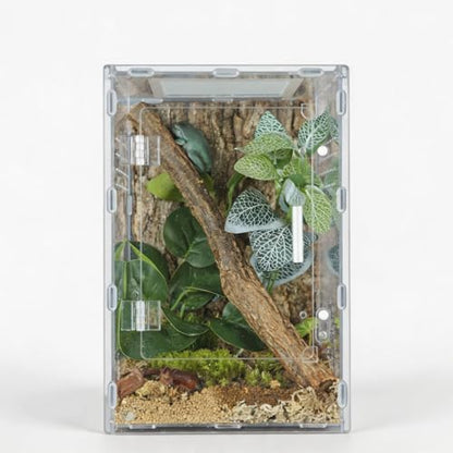 8x8x12 Reptile Tank – Acrylic Reptile Enclosure Terrarium for Crested Gecko, Lizards, Spiders & Snakes – Clear Lizard Habitat Terrarium - size: 8"8"12"