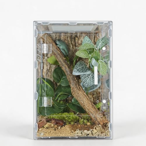 8x8x12 Reptile Tank – Acrylic Reptile Enclosure Terrarium for Crested Gecko, Lizards, Spiders & Snakes – Clear Lizard Habitat Terrarium - size: 8"8"12"