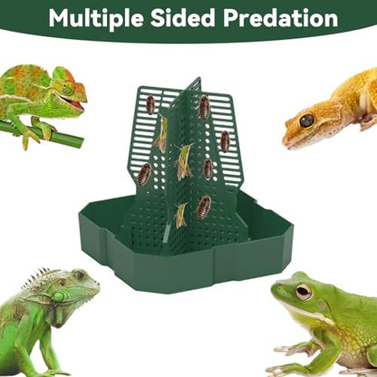 Chameleon Feeder Bearded Dragon Feeder for Mounted Insect with Rope and Tweezers, Tank and Aquarium Accessories for Lizard, Bearded Dragon, Gecko, Frog（Medium） - size: Medium