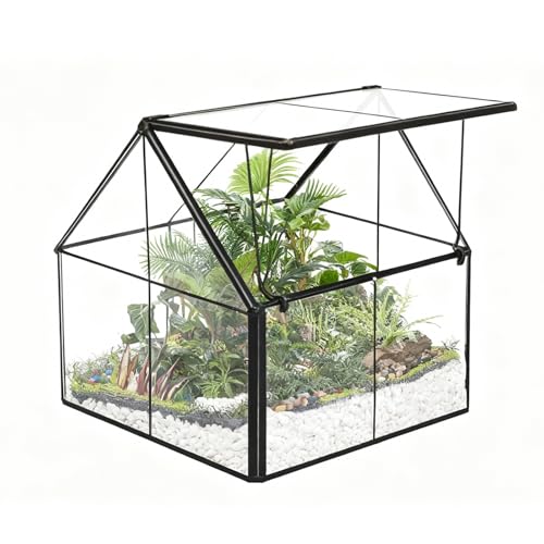 Ferrisland Glass Plant Terrarium Container Wardian Case Indoor Small Succulent Terrarium Planter w/Door for Tabletop Decor DIY - 4.9"x4.3"x4.3" - size: 4.3"L x 4.3"W x 4.9"H