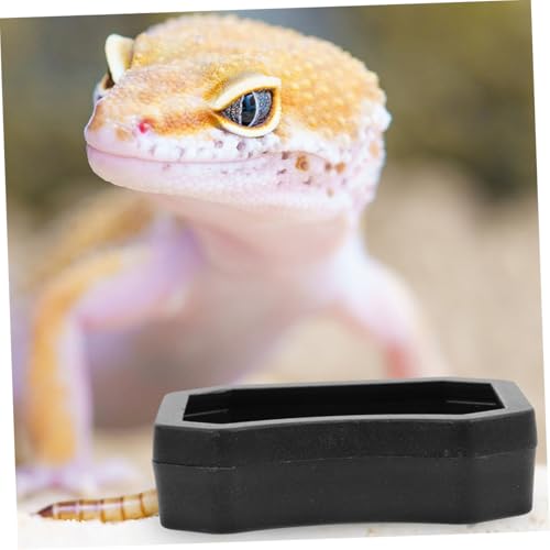 BESPORTBLE 20pcs Reptile Water and Food Dish Feeding Bowls for Lizards Geckos and Other Reptiles for Water and Food Pet Terrariums