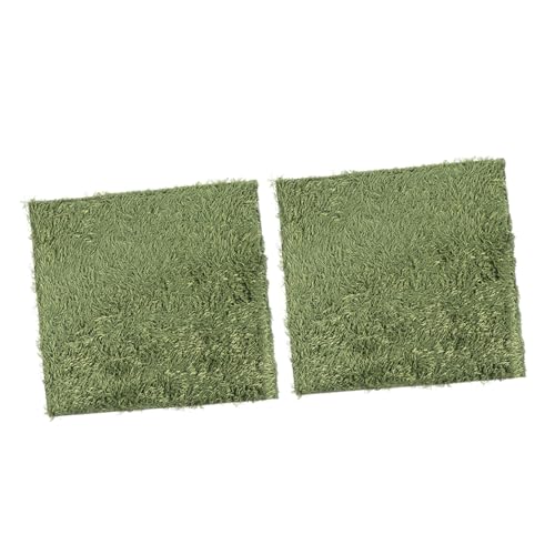 2pcs Natural-Looking Reptile Mats Simulated Moss Carpets for Climbing Pets Moisturizing Fake Lawn for Terrariums Safe and Absorbent Bedding for Turtles and Frogs