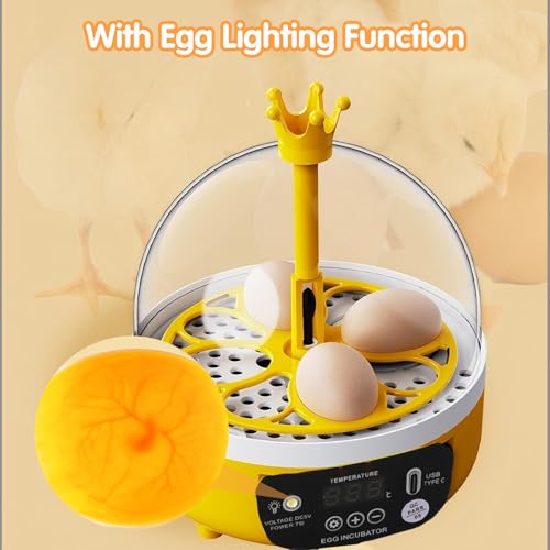 Tissting 4 Eggs Mini Incubator with Transparent Lid,7W Automatic Temperature Humidity Control,Household Small Poultry Hatching Machine,for Chickens Ducks Pigeons (Manual Turning) - color: 4 Eggs Manual Turning