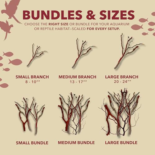 Manzanita Driftwood (Bundle) for Large Aquariums & Reptile Tanks (20-24””) 30–75 Gallon Tank | for Aquascaping & Terrarium Decor | Hardwood Branches | Large Fish, Monitor Lizards, Chameleons - size: Bundle LG