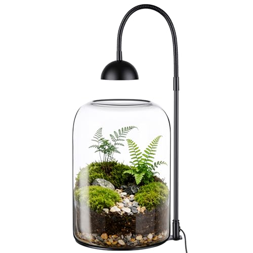 Glass Plant Terrarium with LED Grow Light, Adjustable Ventilation Desktop Indoor Planter for Venus Fly Trap, Moss & Succulents, 8.2" Borosilicate Mini Greenhouse for Home Office Decor