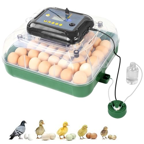 24 Egg Incubator for Hatching Eggs, 360° View Poultry Incubator, Automatic Egg Turning, Temperature & Humidity Display, Auto Water Refilling System, Egg Candler, Multifunctional Egg Tray for Chicken