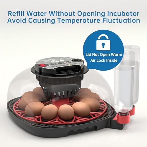 12-24 Egg Incubator with Humidity Display, Egg Candler, Automatic Egg Turner, for Hatching Chickens Duck Quail Parrot - color: Red