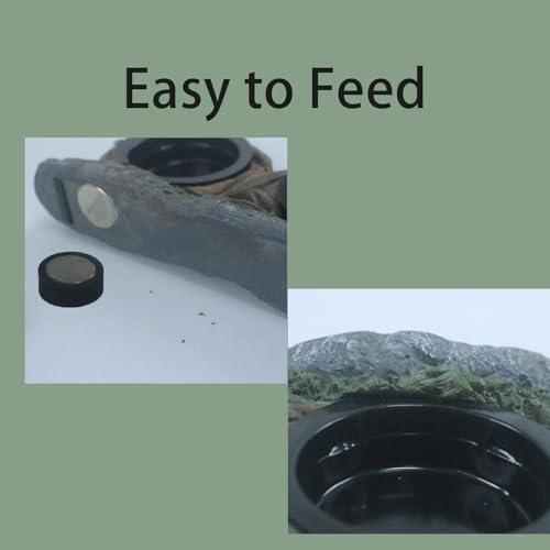Reptile Feeding Ledge with 4 Cups, Hollow Vine Food Dish & Water Bowl for Bearded Dragon, Gecko, Lizard & Snake – Reptile Tank Accessories for Terrariums - size: Magnetic- Dual Feeder