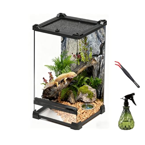 Reptile Tall Glass Terrarium Rainforest Habitat Single Door with Screen Ventilation,Small Reptile Terrarium for Spiders, Tarantulas, Snail, Mantis, Lizard (8 * 8 * 12 inch) - size: 8*8*12 inch
