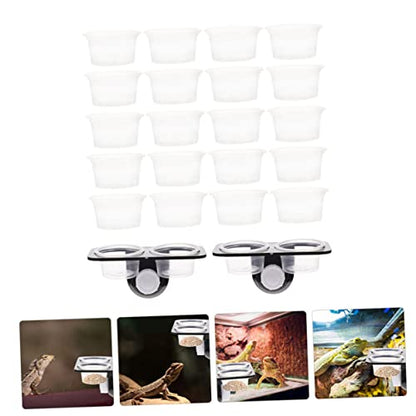 Happyyami Large Reptile Water Dish Gecko Feeder with Double Cups Reptile Feed Platform Random Color