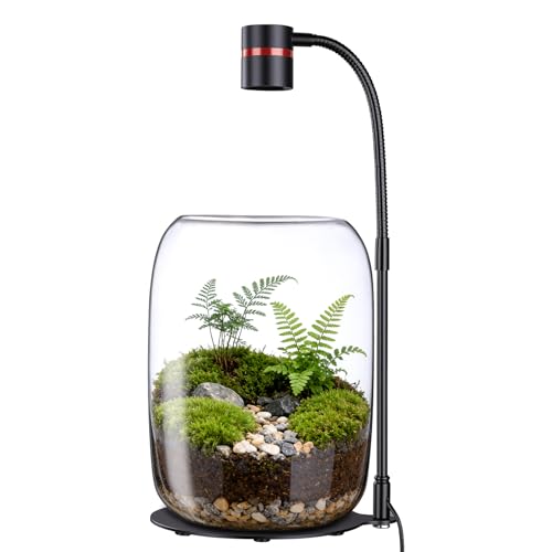 Glass Plant Terrarium with 5W LED Grow Light,Desktop Terrarium Jar for Moss, Succulents & Mini Plants,8.7" Tall Glass Terrarium for Home Office Decor,USB Powered,3 Color Dimming