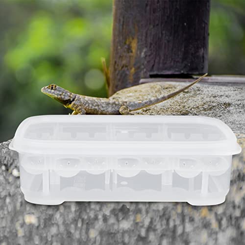 HANABASS Clear Container Clear Container 14 Compartments Eggs Incubation Tray Reptile Hatchery Breeding Box Mini Turtle Incubator Compartments Eggs Incubation Tray Tool White Reptisoil