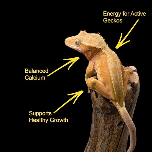 CTWPets Crested Gecko Banana Complete Diet – Premium Fruit & Protein Powder Food, Just Add Water, Complete Nutrition for Crested Geckos & Fruit-Eating Reptiles – Includes Feeding Spoon, 3 oz (3oz)