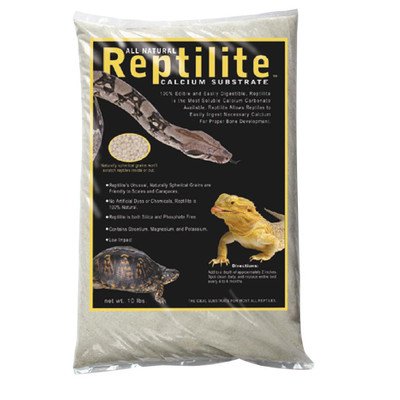 Carib Sea Reptilite Sand in Natural White (40 lbs) [Set of 4] - size: 10lb (Pack of 4)