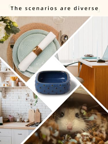2-Pcs Ceramic Reptile Food Bowl, Mini Reptile Feeder (Farmhouse Blue) - color: Farmhouse Blue