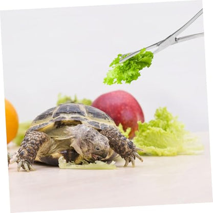 GALPADA Stainless Steel Reptile Feeding Tweezers Long Handle Tongs with Smooth Tips for Secure Handling for Terrarium Supplies and Snake Feeding